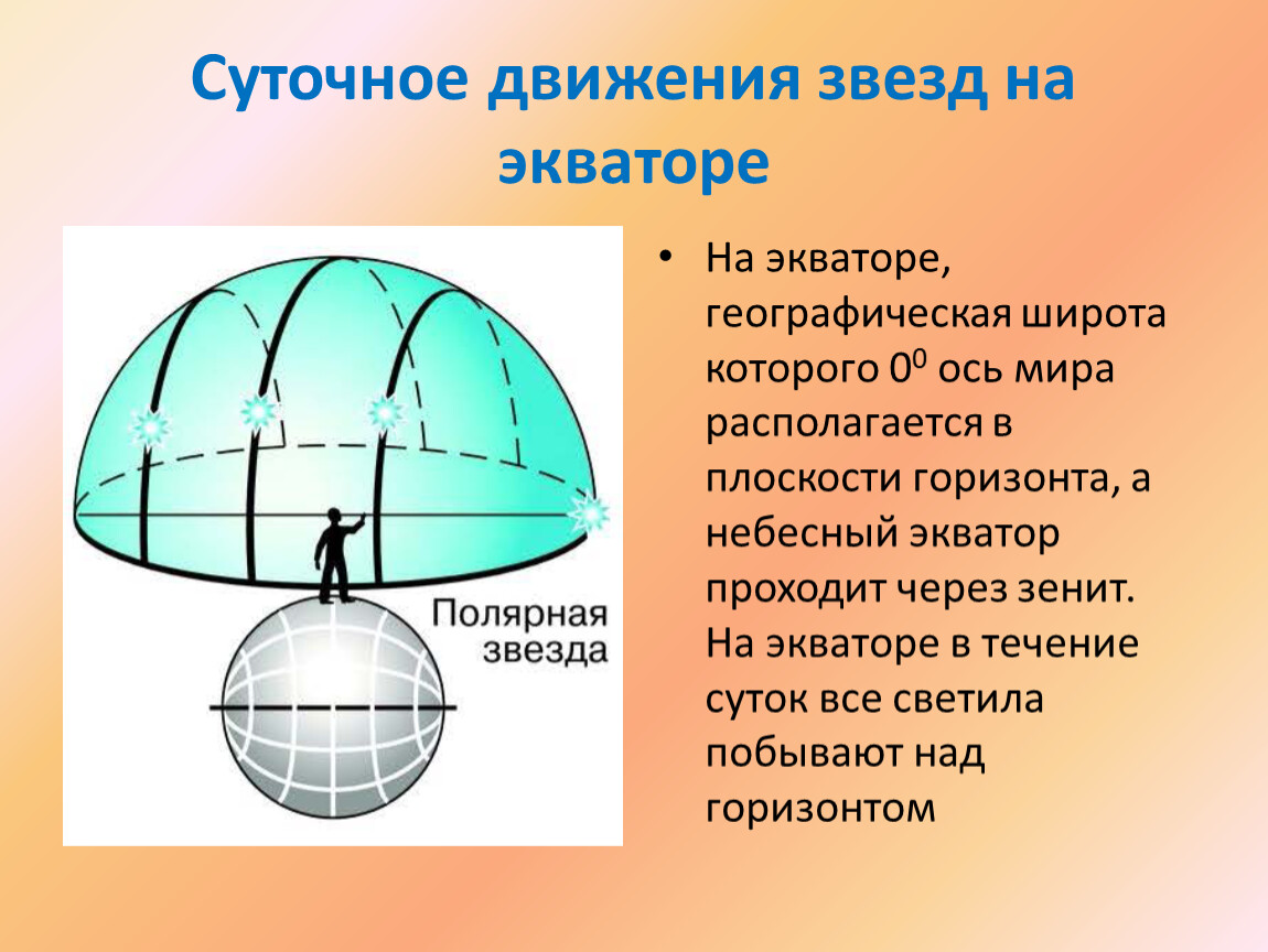 При движении к экватору. Видимое суточное движение звезд. Суточное движение звезд на разных широтах. Суточное движение светил. Движение звезд на экваторе.