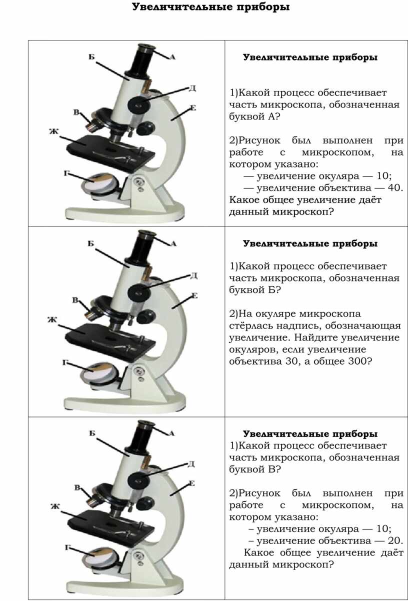 Лабораторная работа биология 5 класс микроскоп. Виды микроскопов 5 класс биология. Увеличительные приборы 5 класс биология тест. Техника безопасности при работе с увеличительными приборами. Диктант по биологии микроскоп.