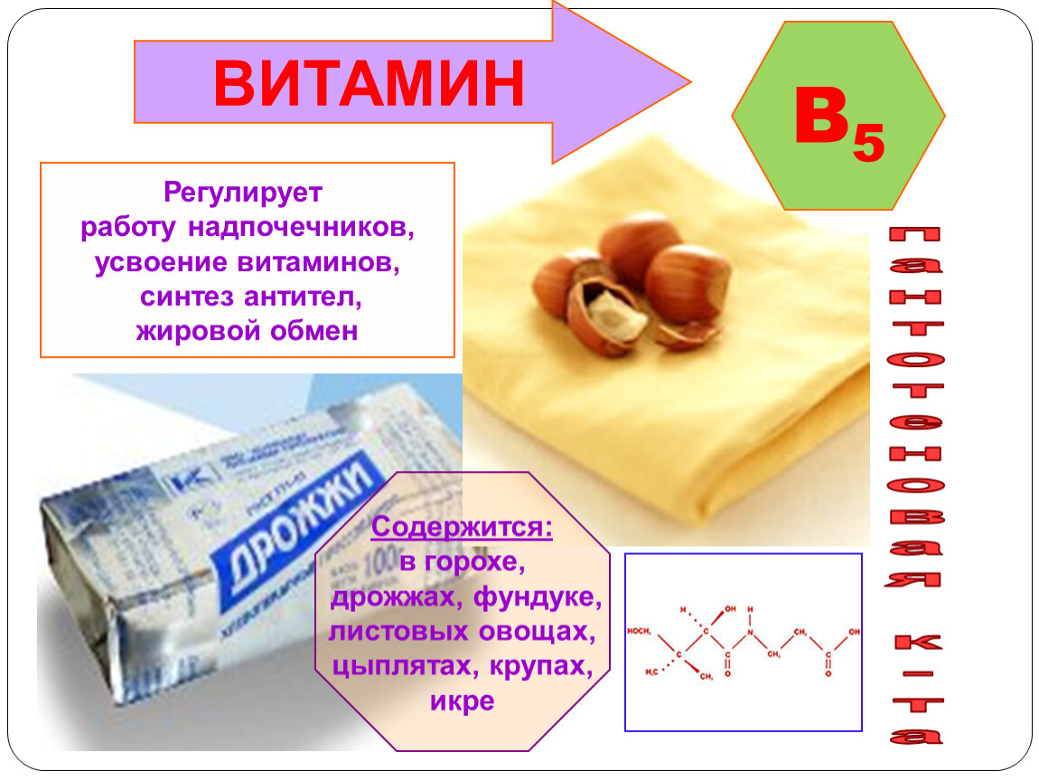 Влияние витаминов на здоровье человека презентация