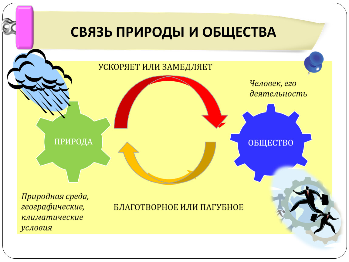 Введение в обществознание