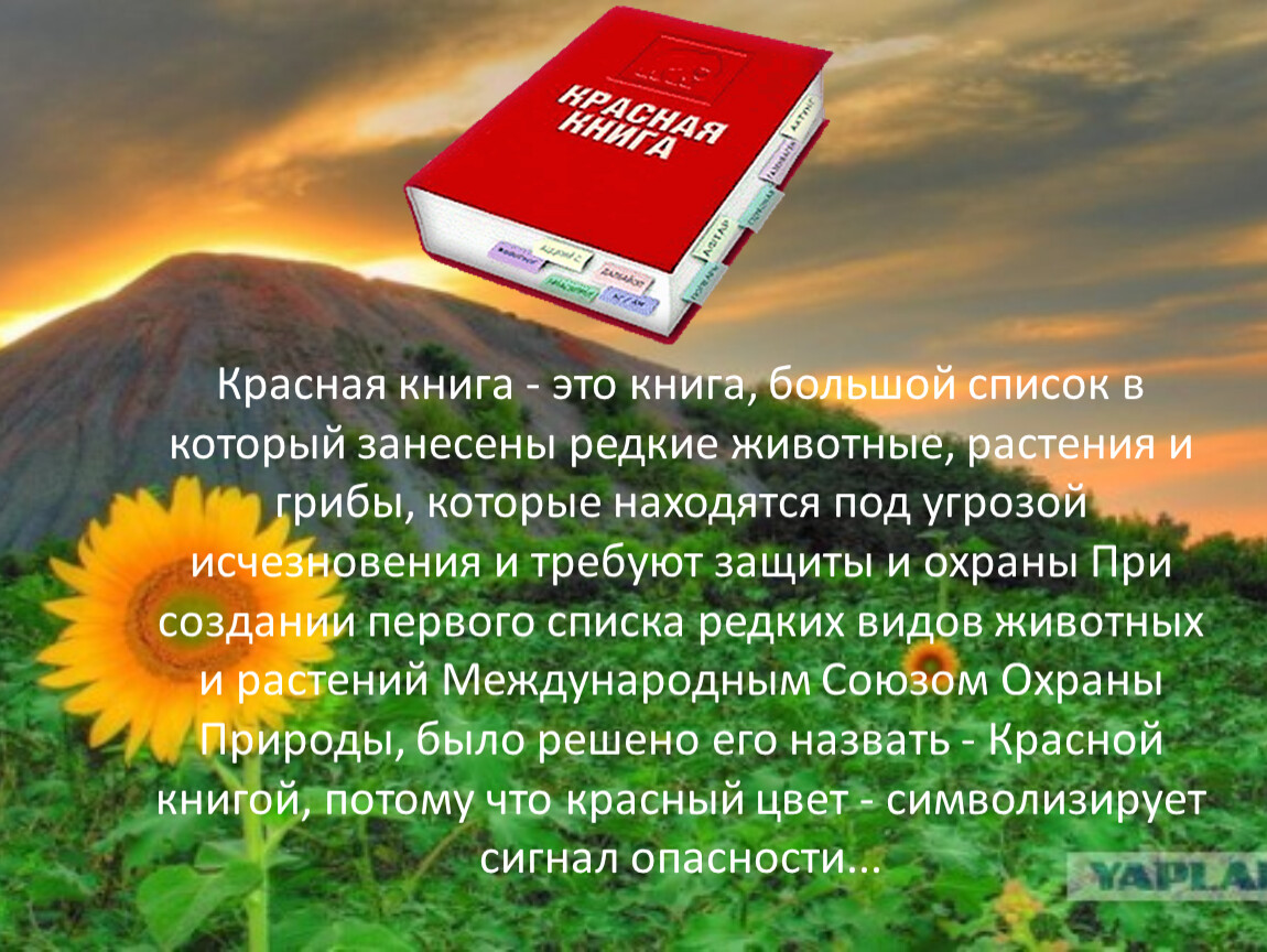 Красная книга донбасса картинки