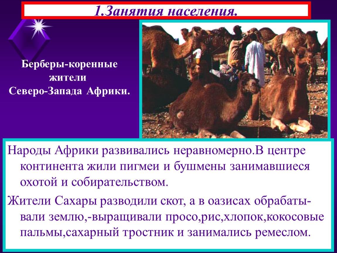 Занятия населения страны. Занятия населения Африки. Занятия жителей Африки. Народы и занятия жителей Африки. Основные занятия жителей Африки.