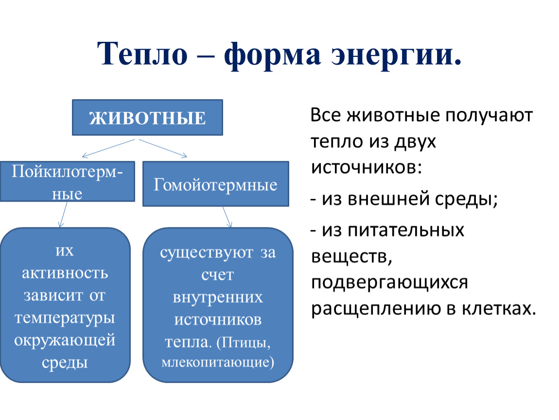 Формы энергии. Форма тепла. Тепло-форма энергии. Тепловая форма энергии.