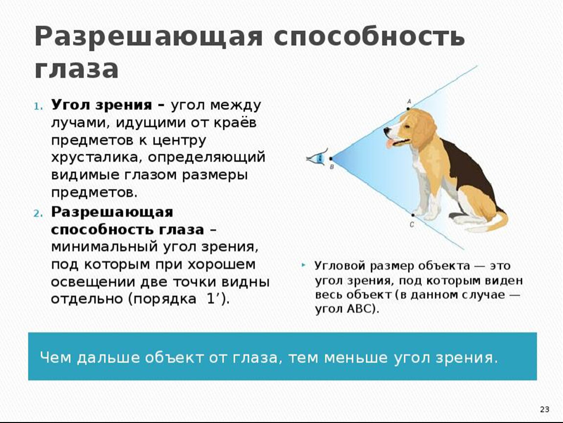 Способность глаза различать контуры изображений деталей на фоне близкой цветности это