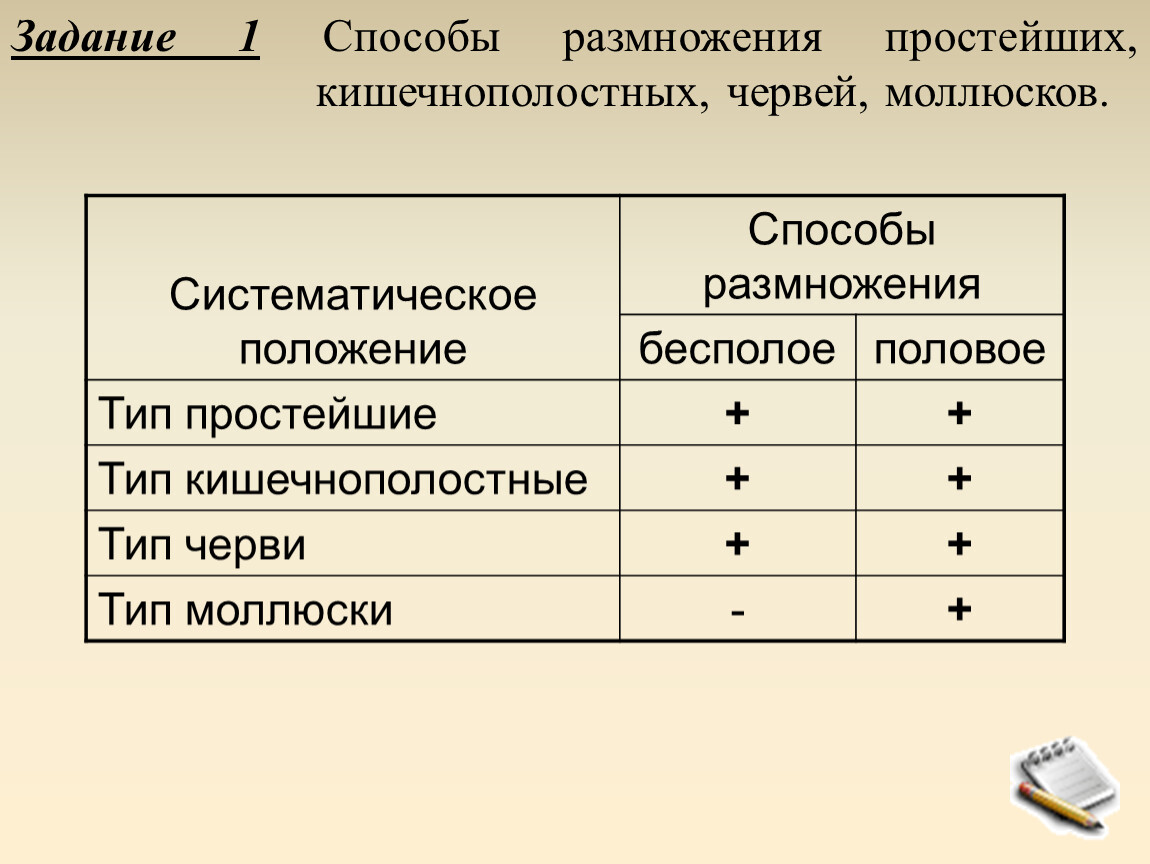 Бесполый способ размножения простейших