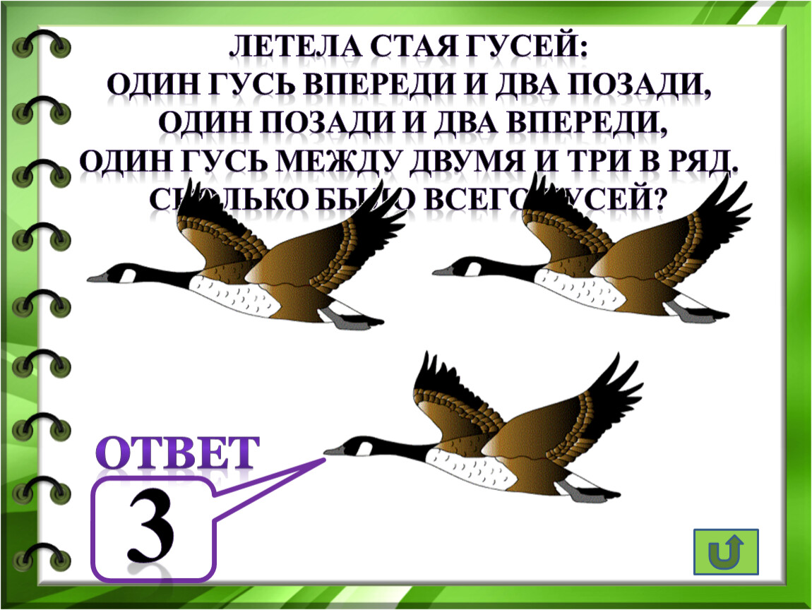 Впереди 1. Летела стая гусей один впереди два позади два. Стая гусей летит. Задача летела стая гусей один Гусь впереди а два позади. Один Гусь впереди и два позади один.