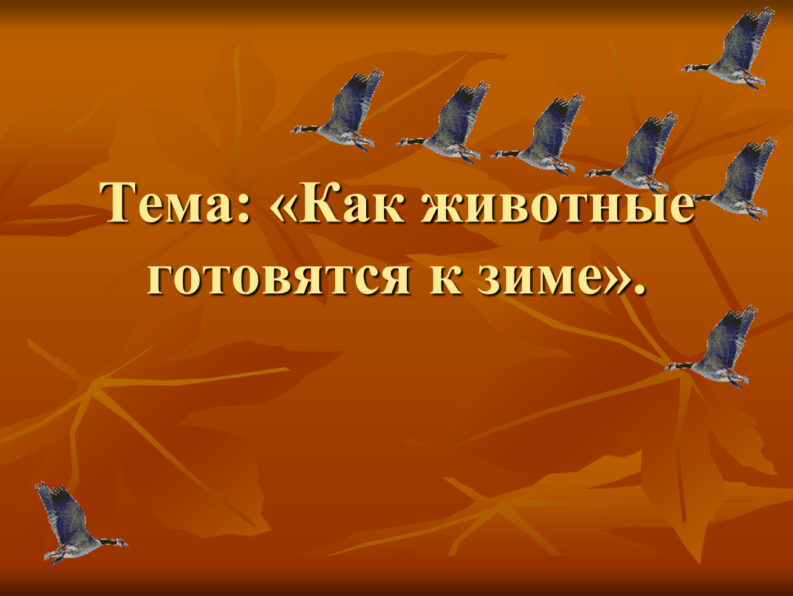 Презентация как готовятся животные к зиме готовятся