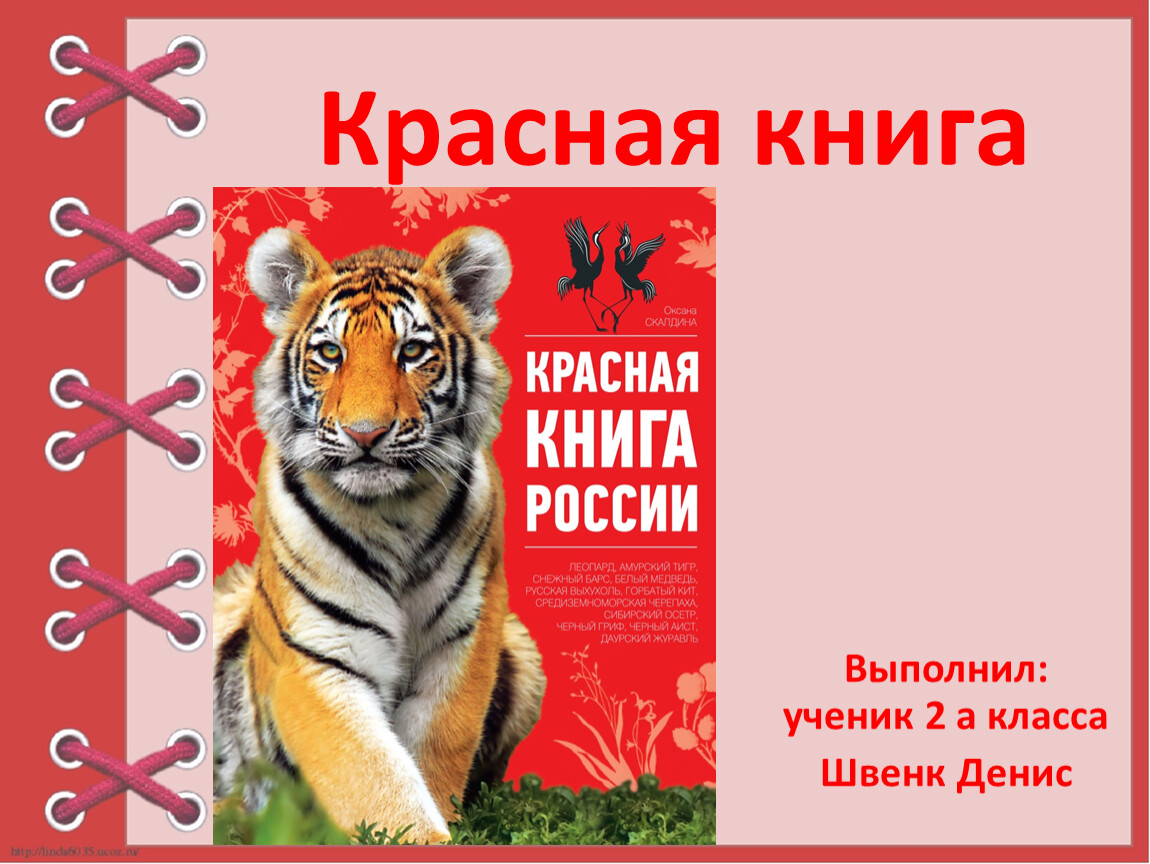 Покажи красную книгу. Красная книга ученика 2 класса. Красная книга для детей начальной школы. Красная книга для начальной школы Аванта. Животные из красной книги для начальной школы.