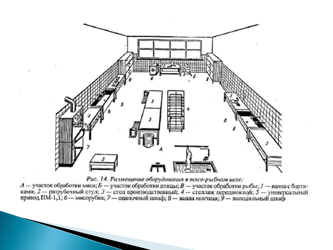 Схема мясо рыбного цеха с расстановкой оборудования и описанием