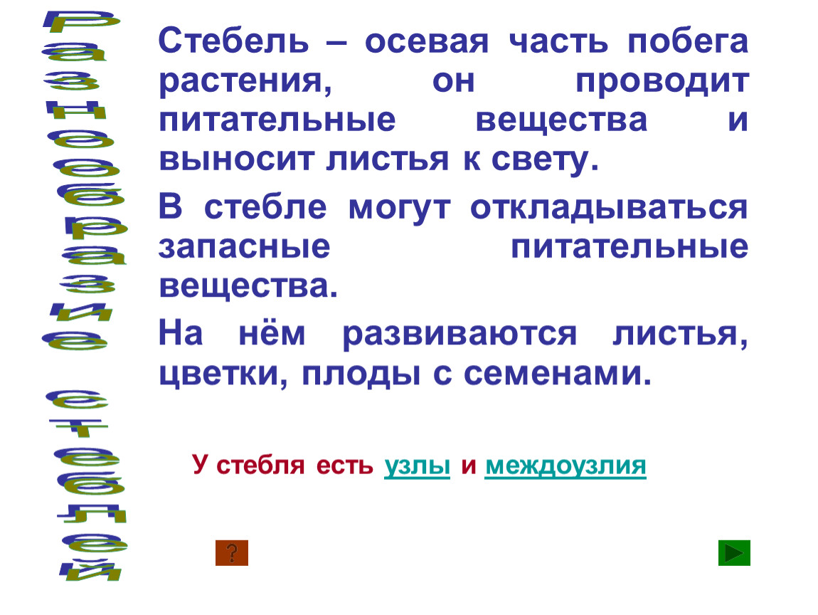 Питательные вещества в стебле. Осевая часть стебля. В стебле могут откладываться питательные вещества. Стебель осевая часть он проводит. В стебле могут откладываться запасные питательные вещества..