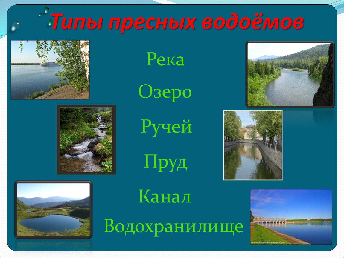 Назвать естественные водоемы. Пресные водоемы. Виды пресных водоемов. Водоемы презентация. Реки, озёра, ручьи, пруды, водохранилища.