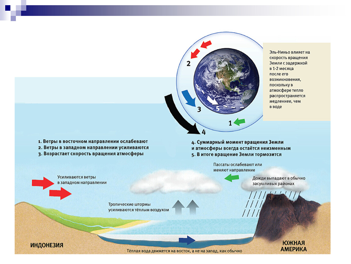 Эльнинье. Южная осцилляция Эль-Ниньо. Эль Ниньо у Южной Америки направление. Эль Ниньо влияние на климат. Природным феноменом Эль-Ниньо.