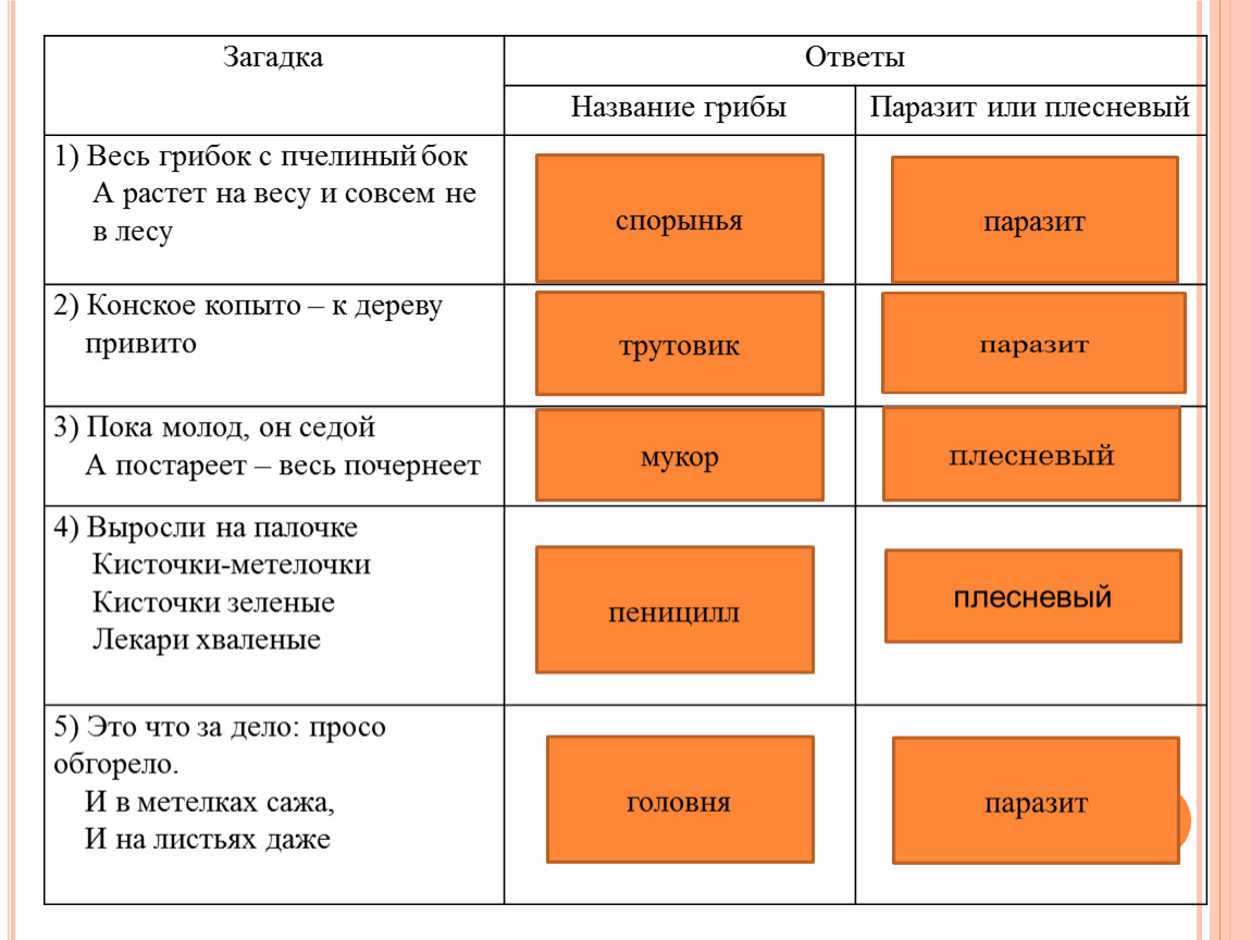 Презентация по теме: 