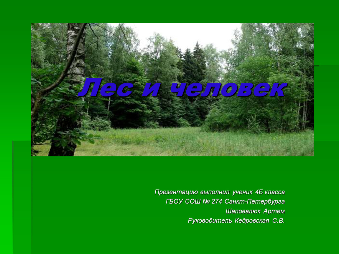 Лес и человек 4. Презентация на тему лес и человек. Проект на тему лес и человек. Человек и лес презентация 4 класс. Проект лес и человек презентация.