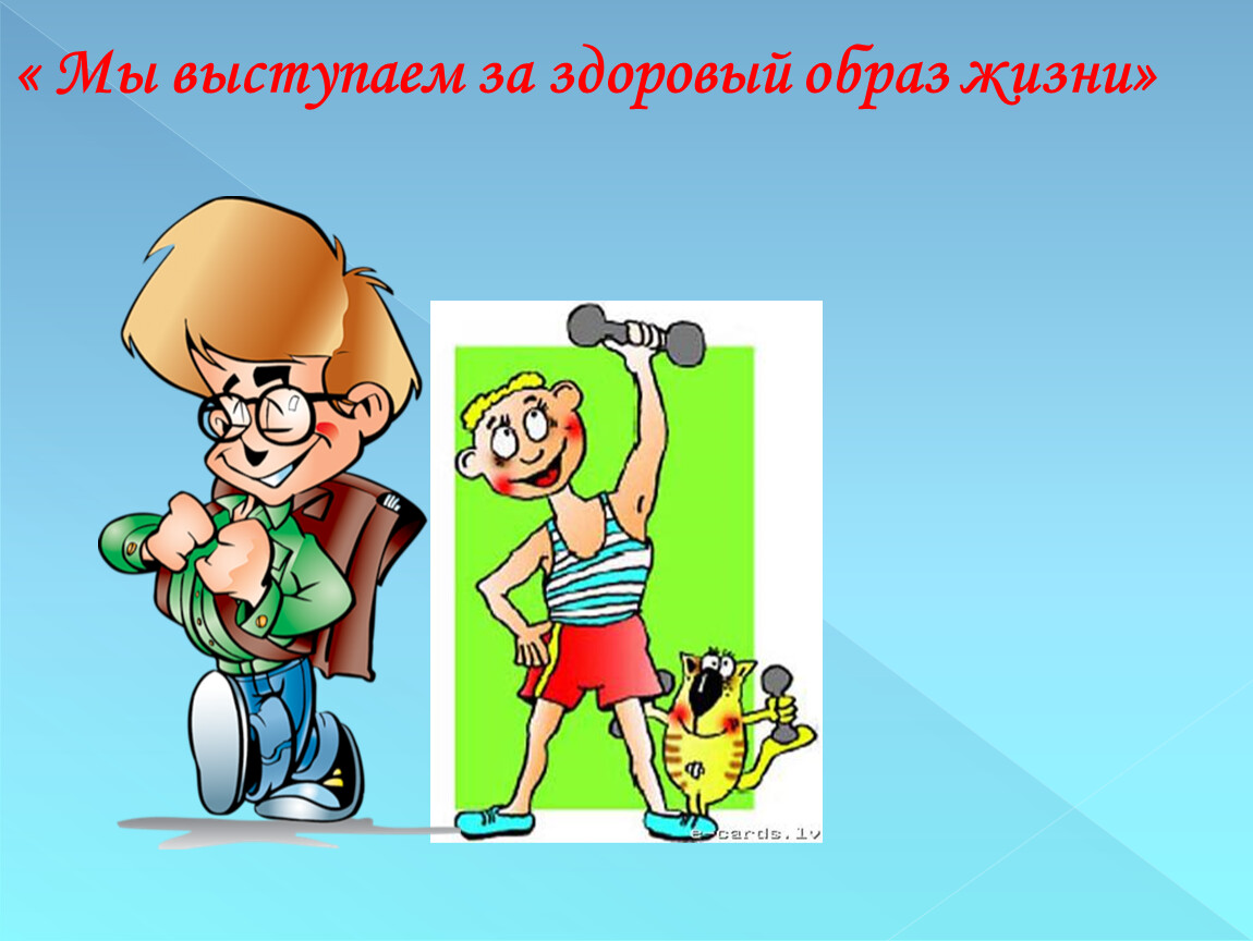 Зож картинки прикольные