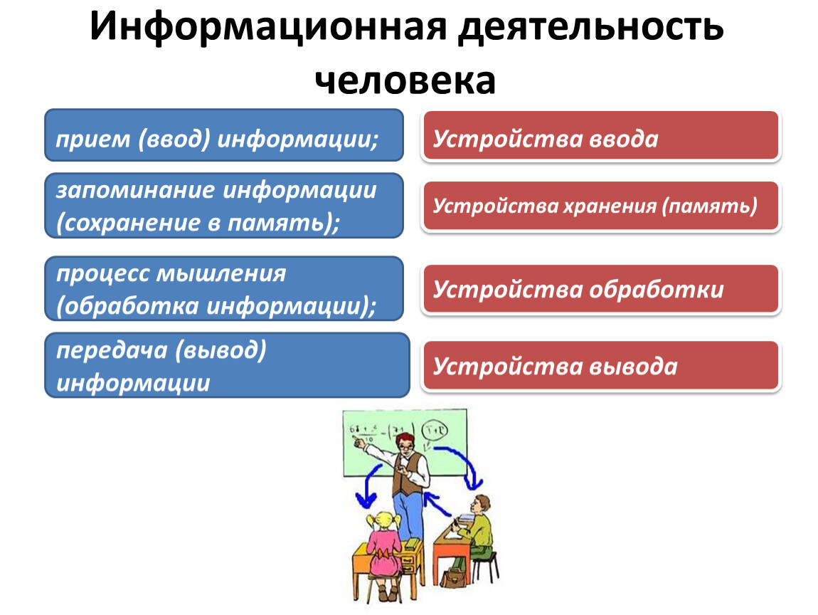 Вывод передачи информации. Информационная деятельность человека обработка информации. Запоминание и обработка информации человеком. Информационная деятельность человека вывод. Процесс мышления (обработка информации).