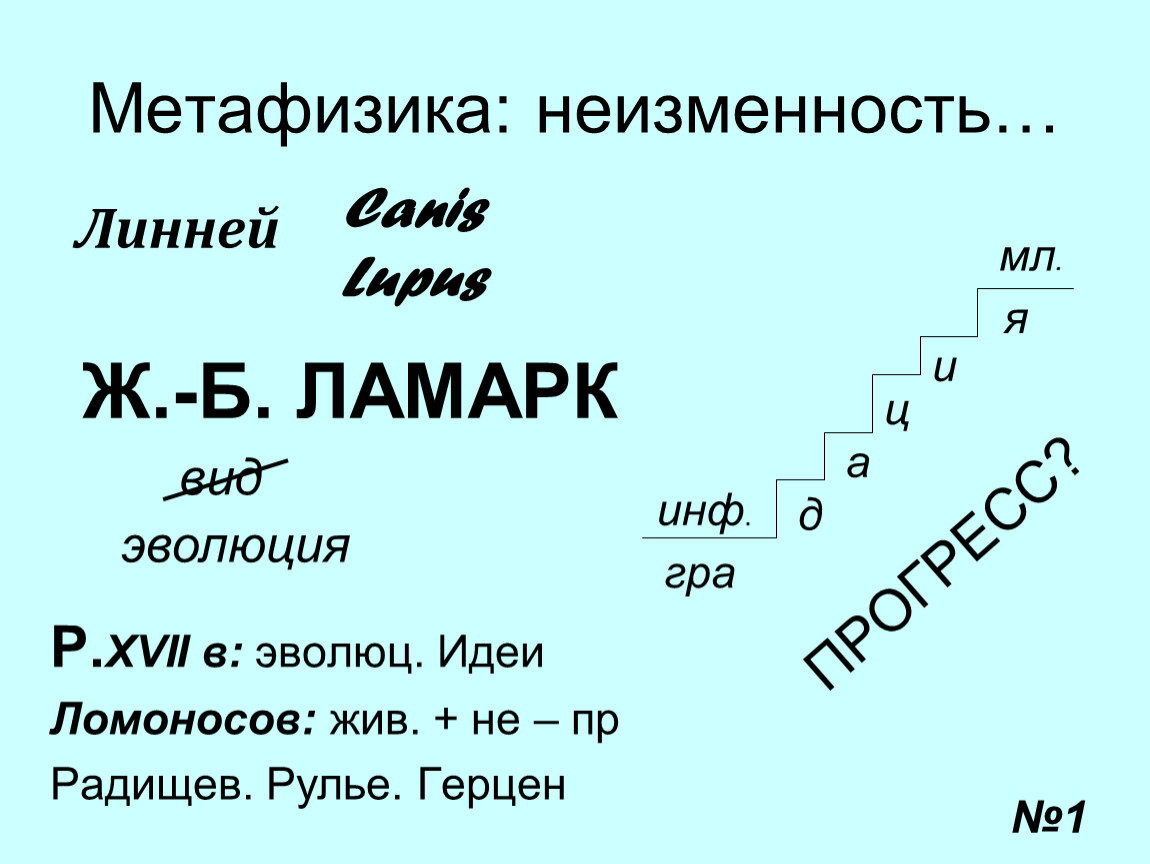 Неизменность это. Орионская неизменность. Неизменность биология.