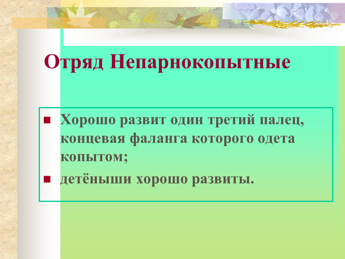 Презентация на тему непарнокопытные 7 класс по биологии