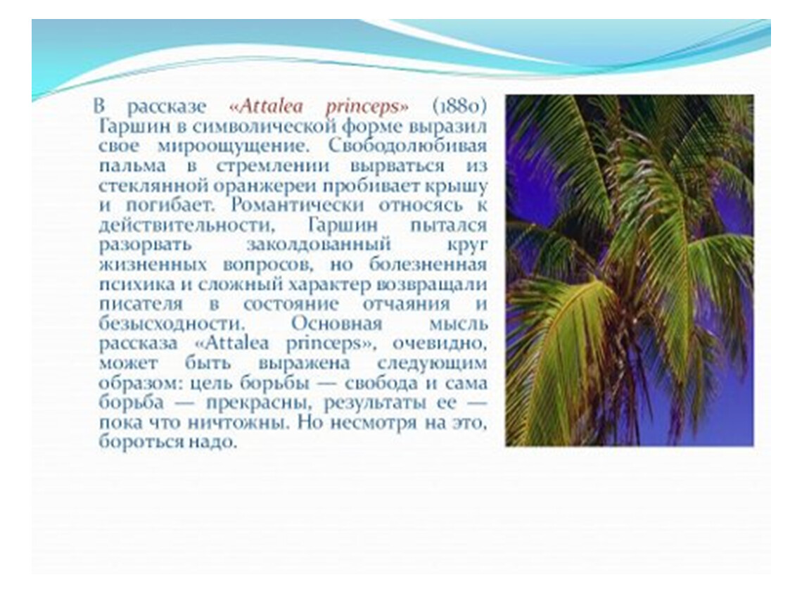 Пальмы эпитеты. Гаршин сказка о Пальме. Атталея принцепс в Гаршин. Пальма рассказ Гаршина. В.М. Гаршин. Сказка «Attalea princeps».
