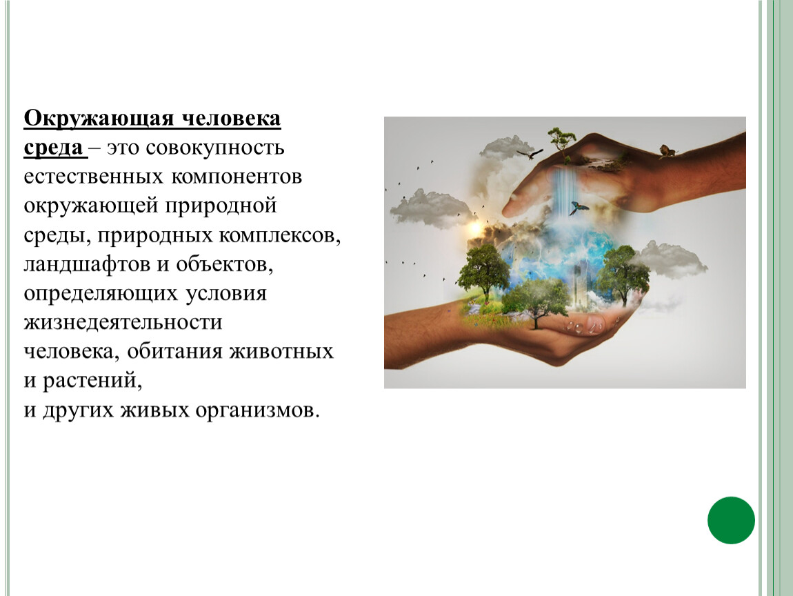 Как понять окружающая среда. Компоненты окружающей среды экология. Окружающая среда элементы. Окружающая среда человека и ее и ее компоненты. Окружающая среда компоненты окружающей среды.