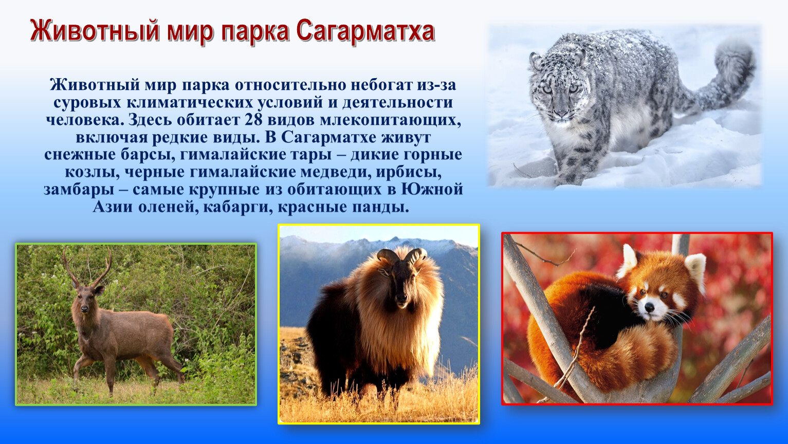 Животный мир парка Сагарматха
