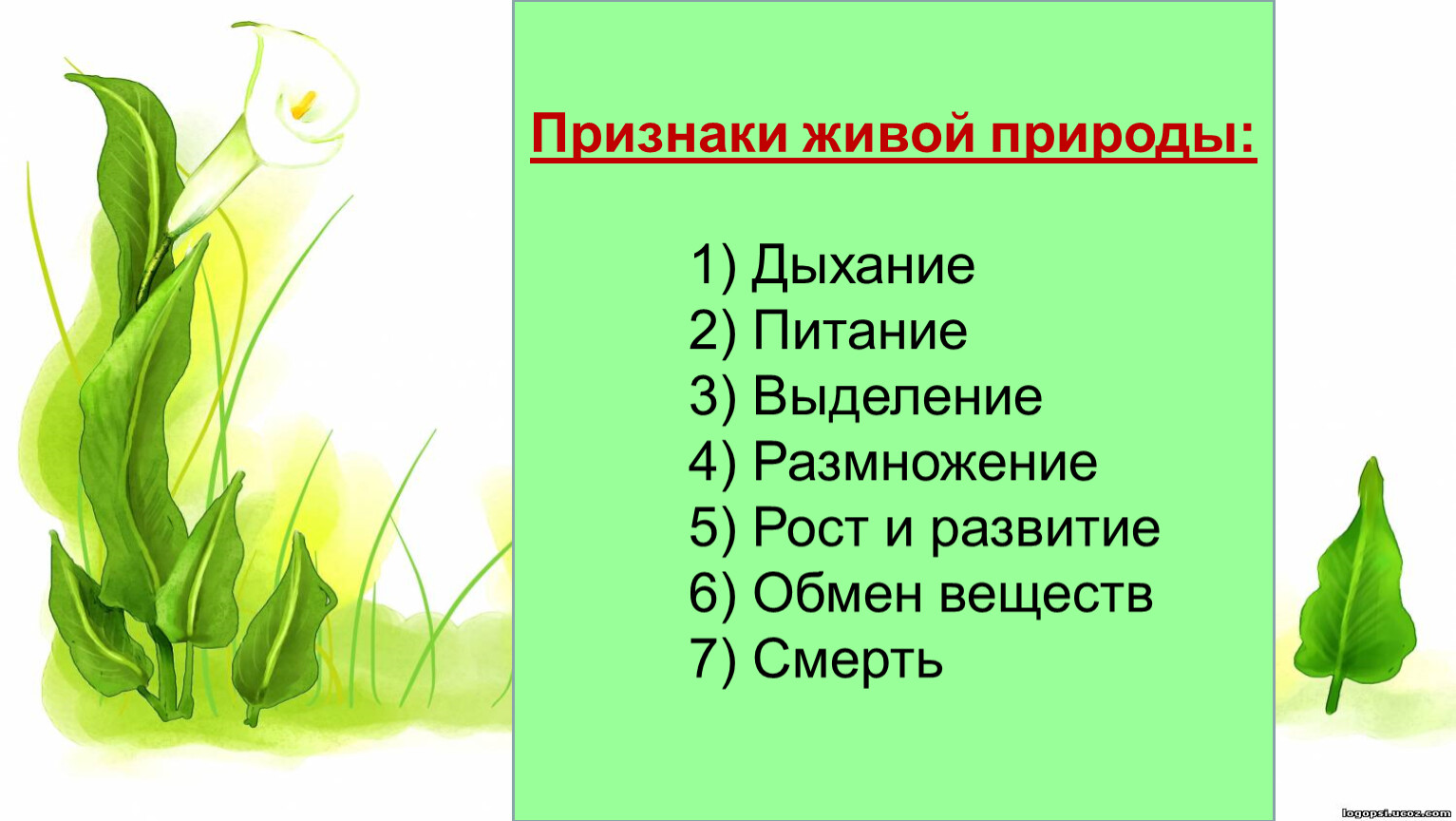 Признаки живых тел природы. Признаки живой природы. 5 Признаков живой природы. Признаки живой природы 2 класс. Признаки живой природы 3 класс.