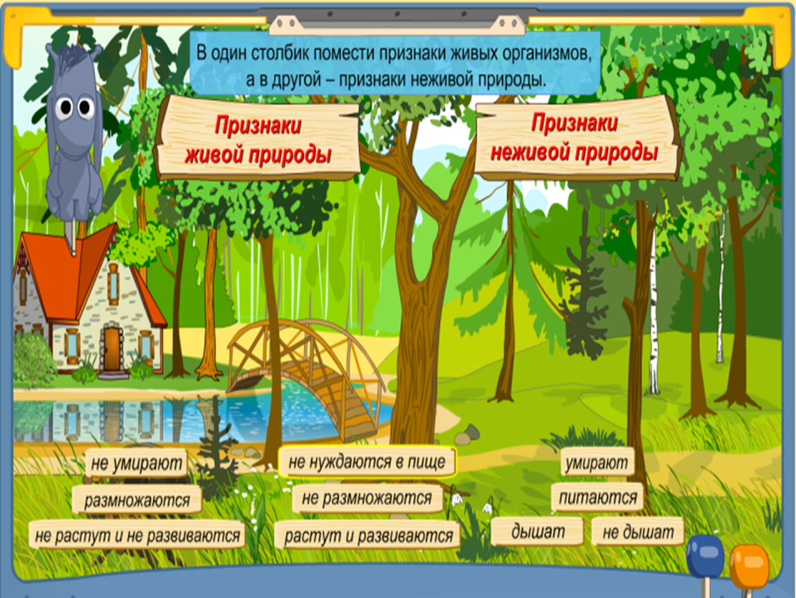 Природа 2 класс видеоурок. Страны объекты живой природы. Признаки природы. Объекты неживой природы энциклопедия путешествий. Страны Живая и неживая природа.