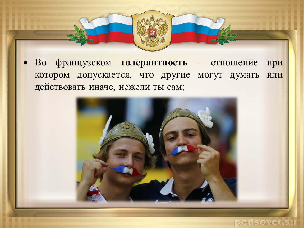 Отношение толерантности. Толерантность француз. Толерантность в России. Толерантность во Франции. Толерантность спасла Францию от французов.