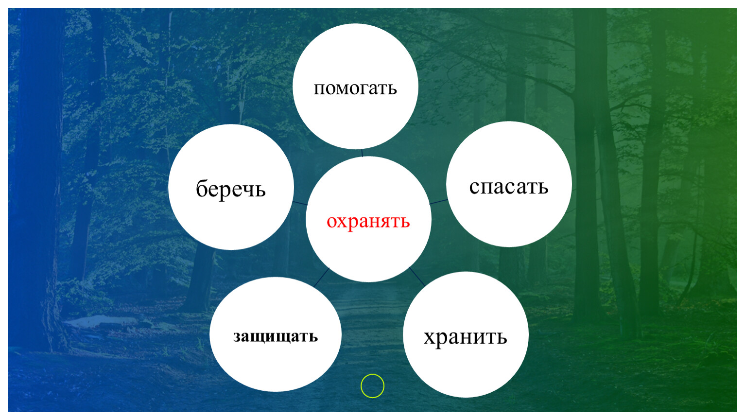 Проект на тему охранять природу значит охранять жизнь 7 класс обществознание