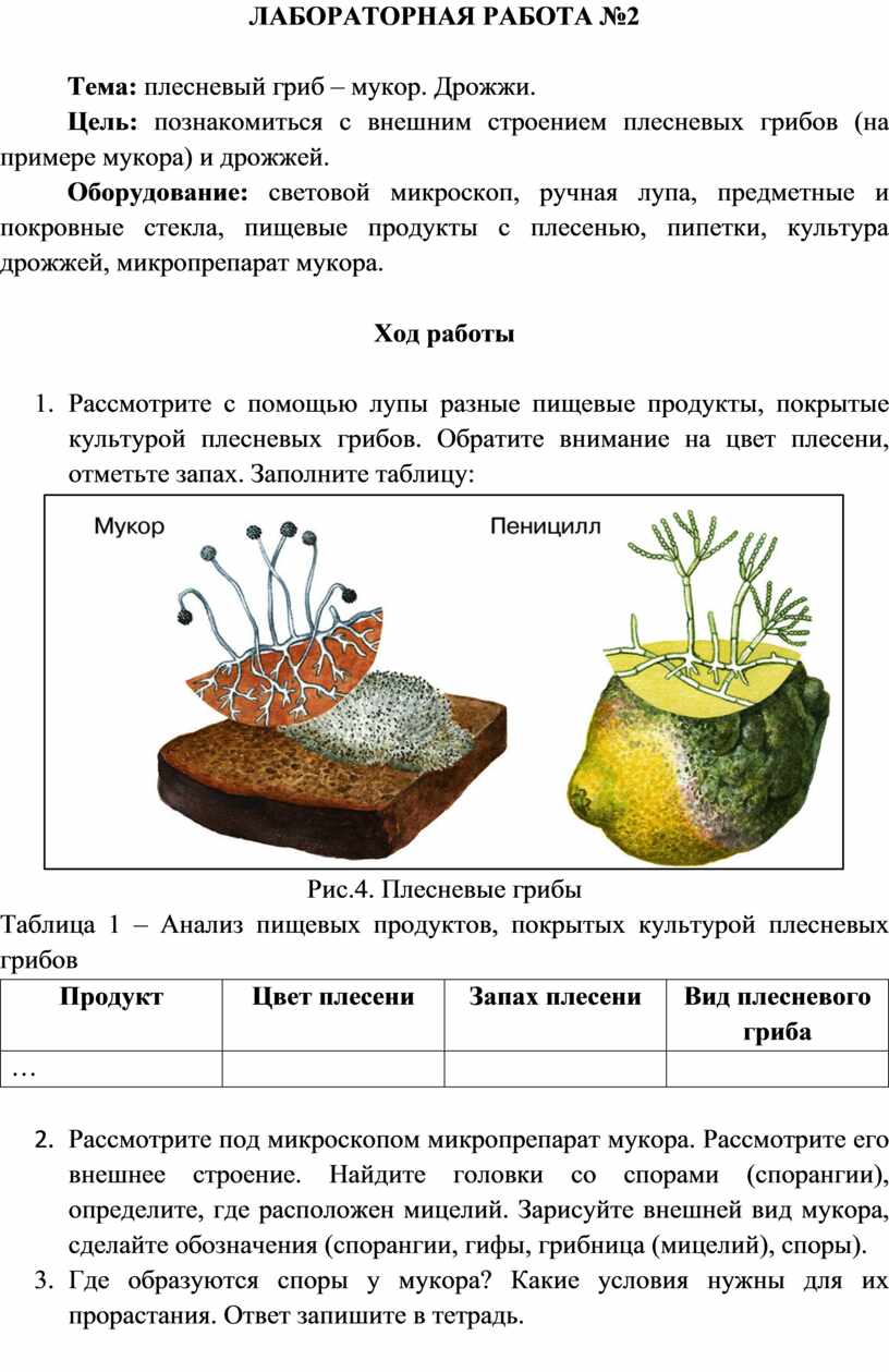 Лабораторный практикум по биологии для 7 класса