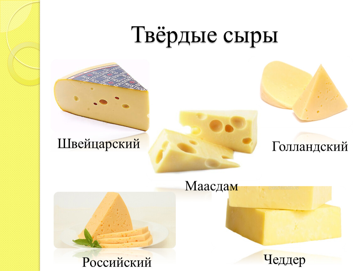 Как отличить сыр. Сыр твердых сортов название. Твердые сорта сыра. Твёрдый сыр название. Твёрдые сыры сорта.