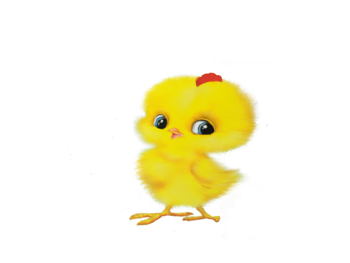 Картинки цыплята для детского сада распечатать
