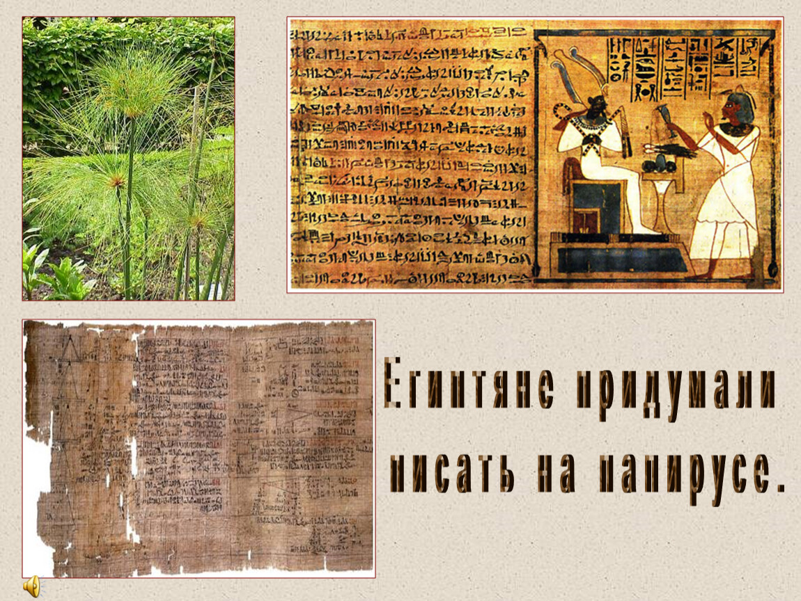 Растение на котором писали первые книги. Древние книи на папирусе. Книги на папирусе. Писали книги на папирусе. Древние книги на папирусе.