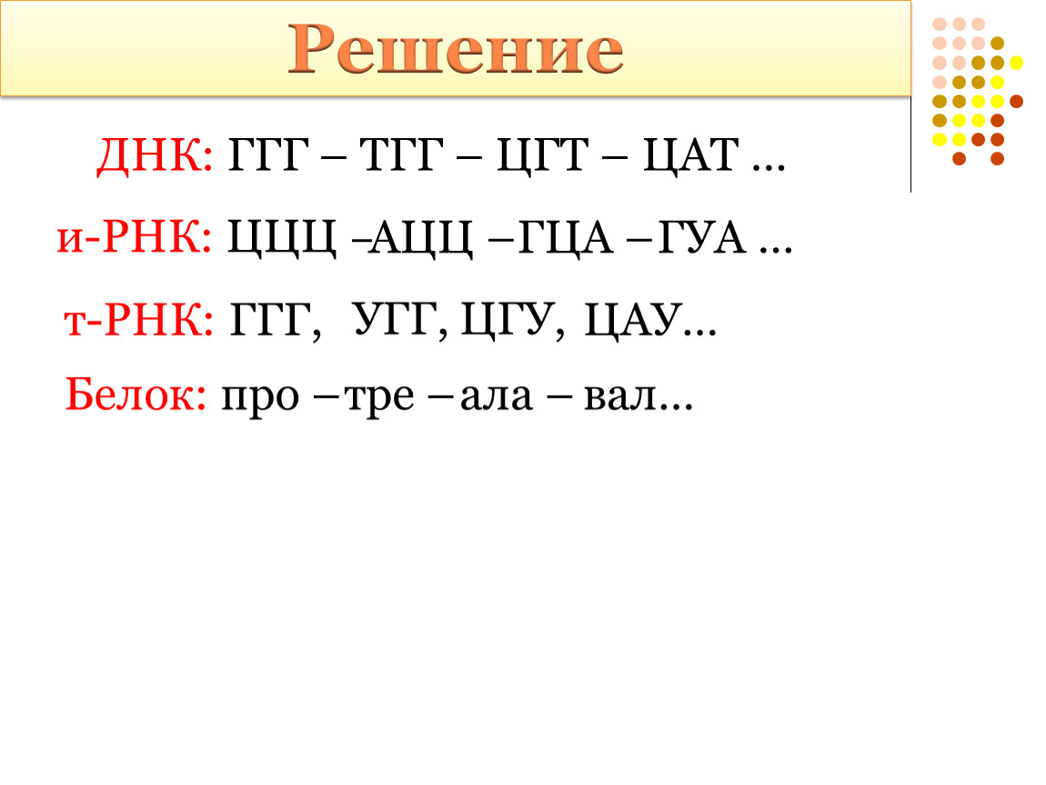 Под воздействием мутагенных факторов во фрагменте гена цат таг гта цгт тцг произошла замена