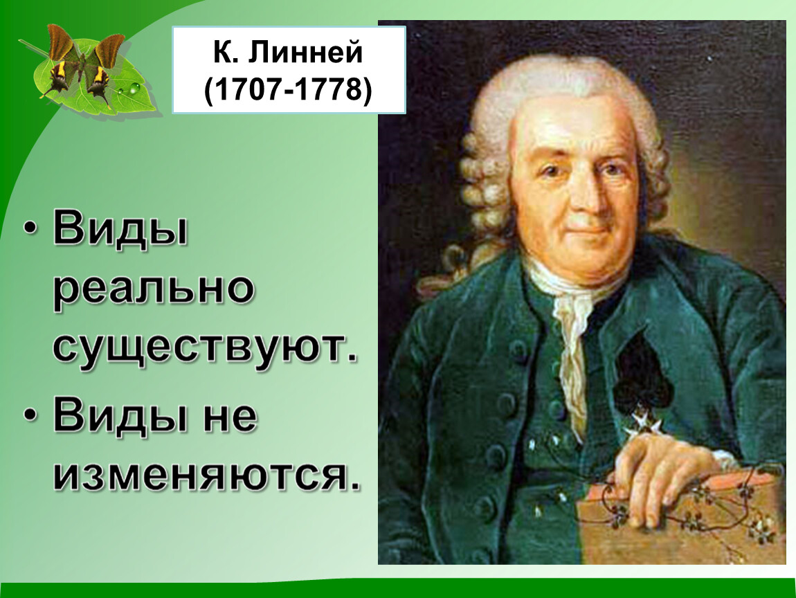 К линней. К.Линней - (1707-1778). Линнея (1707-1778. Линь. Линней фото.