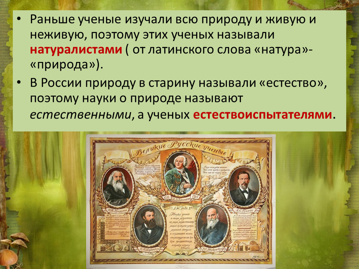 Раньше ученые. Ученые изучают природу. Ученые которые изучали природу. Ученые изучают живую природу. Ученые изучающие природу как называются.