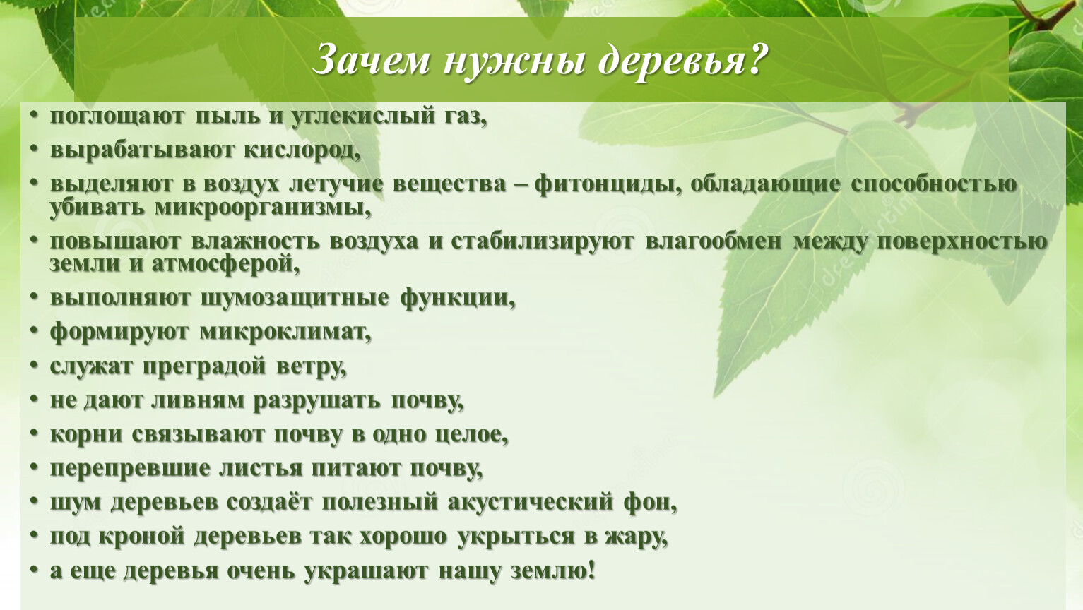 Зачем нужен 3. Зачем нужны деревья. Зачем нужны деревья в городе. Жлятчего нцдны деревья. Зачем нужны деревья на земле.