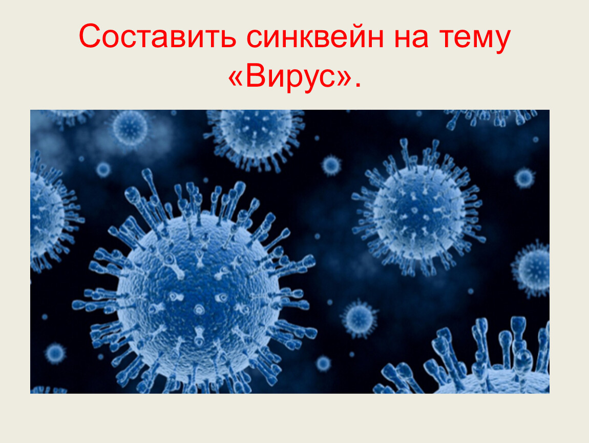 Вирусы урок биологии. Синквейн вирусы. Синквейн на тему вирусы. Составить синквейн по теме вирусы. Вирусы и бактерии синквейн.