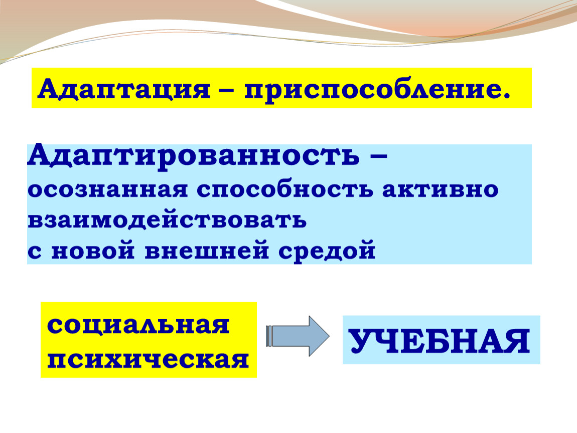 Осознанная адаптация. Способность адаптироваться к новым ситуациям. Приспособление адаптация картинка. Умение адаптироваться.