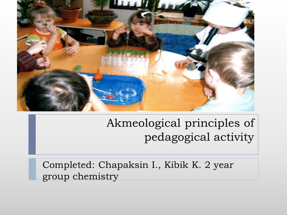 Akmeological principles of pedagogical activity