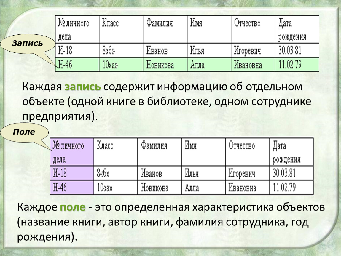 Запись поле записи содержат. Запись содержит набор данных об одном объекте.