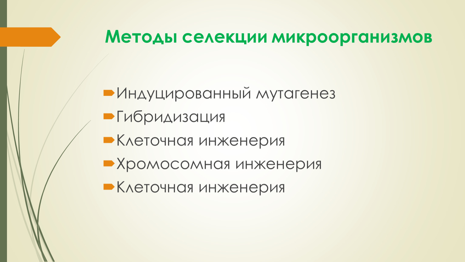 Метод селекции мутагенез. Гибридизация микроорганизмов селекция. Хромосомная инженерия в селекции. Гибридизация и индуцированный мутагенез. Селекция микроорганизмов презентация.