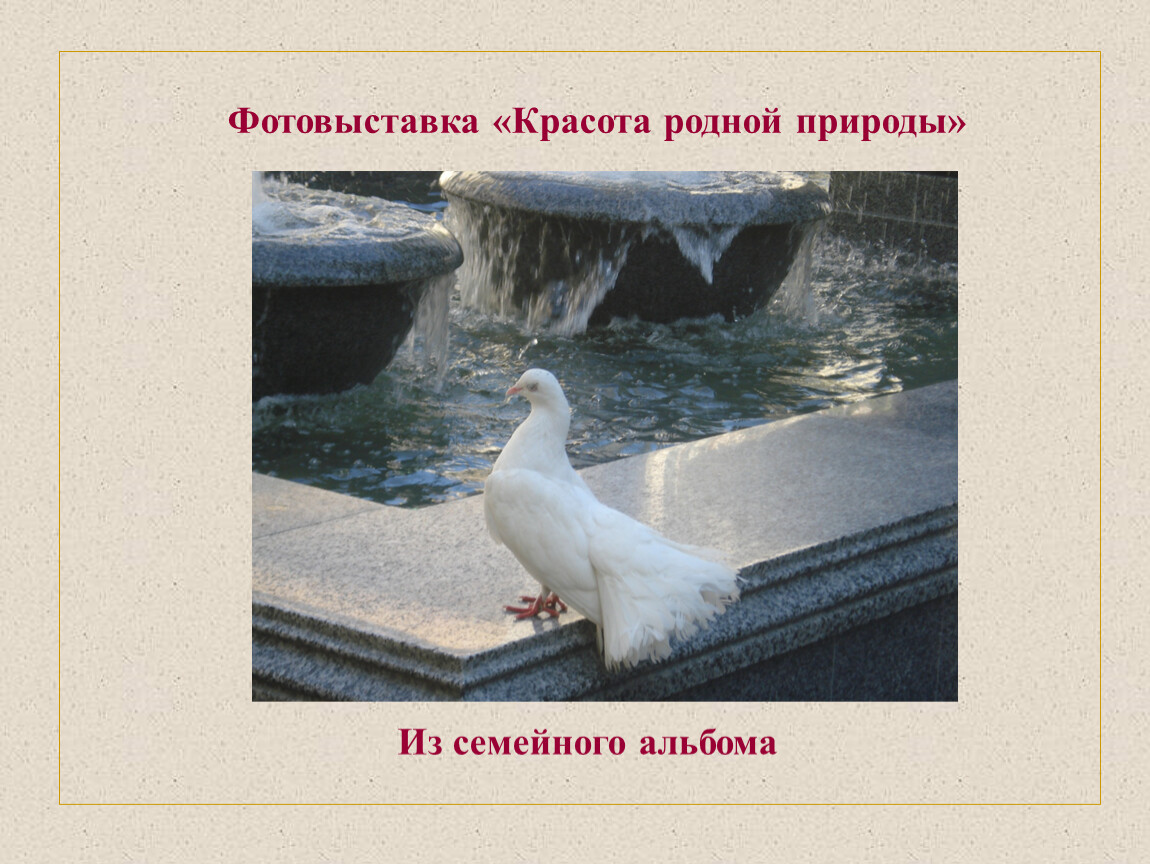Фотовыставка «Красота родной природы»
