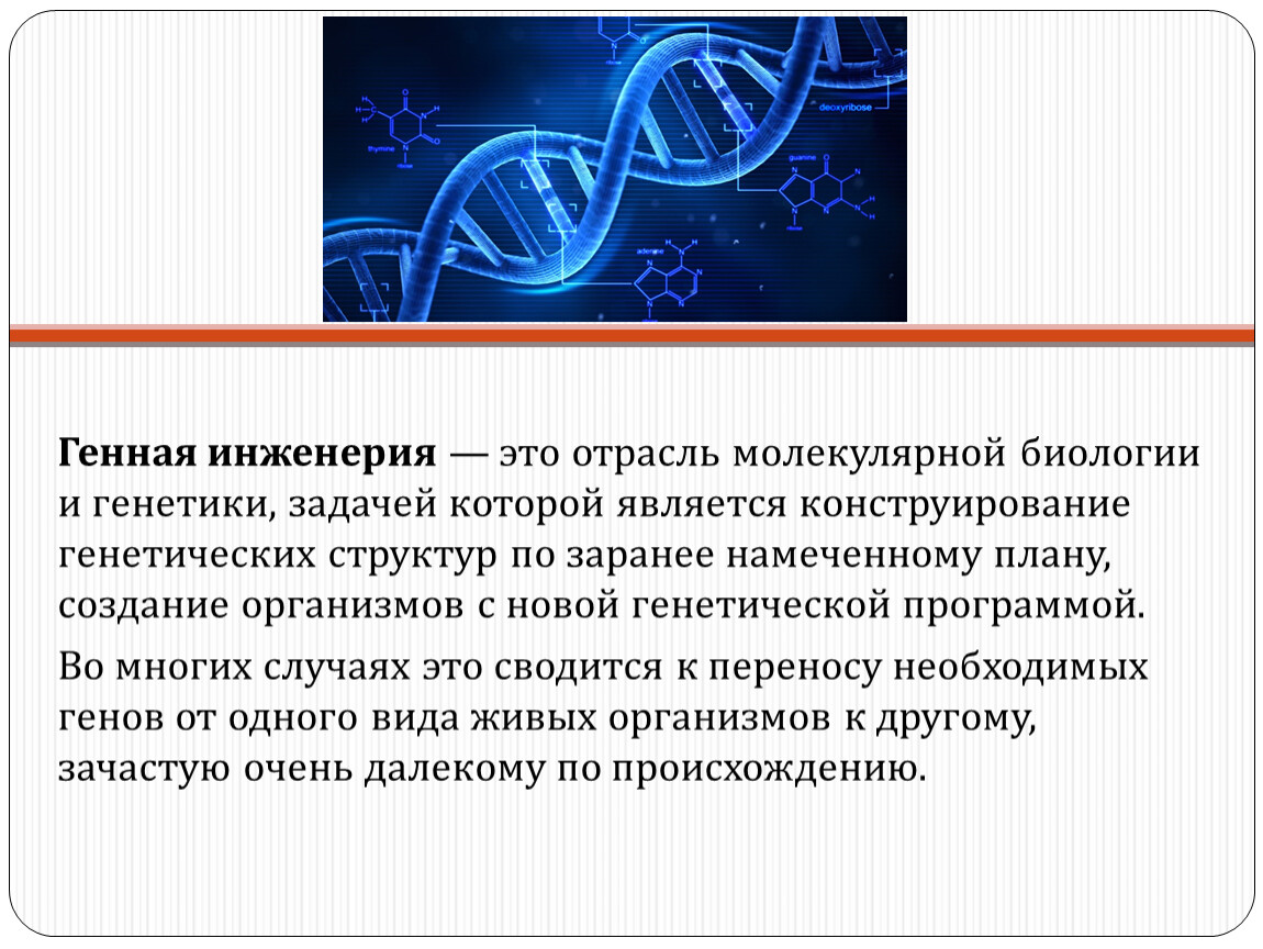 Генетический состав. Генетическое конструирование. Инженерия в биологии. Вопрос генетическое конструирование. Тора генетические программы.