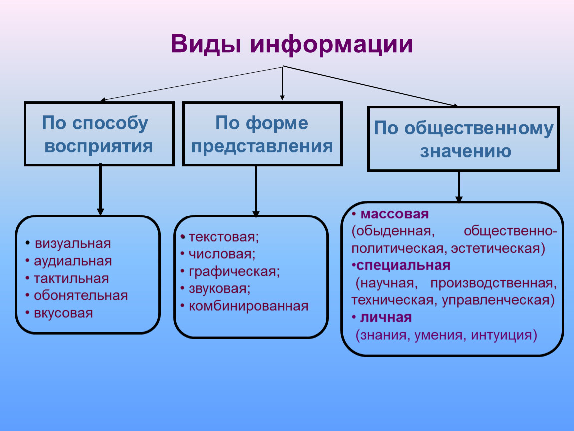 Человеком различают следующие виды информации. Виды информации. Типы информации. Перечислите виды информации. Виды и типы информации.