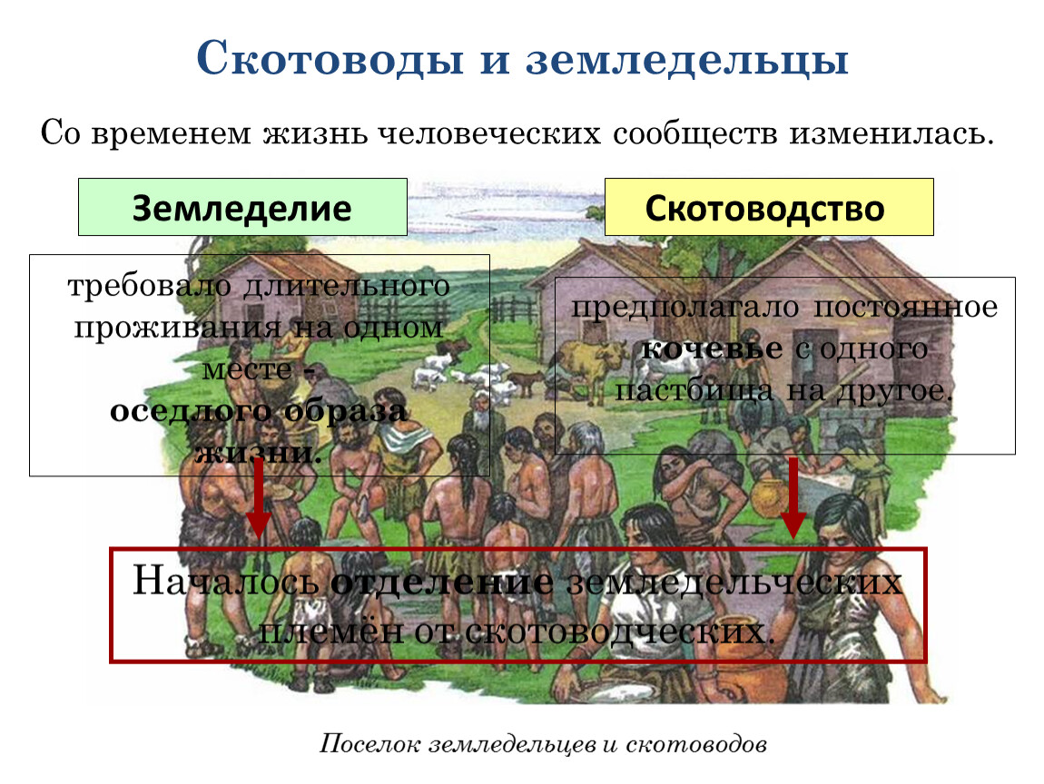 Древние люди параграф. Стоянки древних скотоводов и земледельцев. Поселок земледельцев и скотоводов. Первые земледельцы и скотоводы. В поселке первых земледельцев и скотоводов.