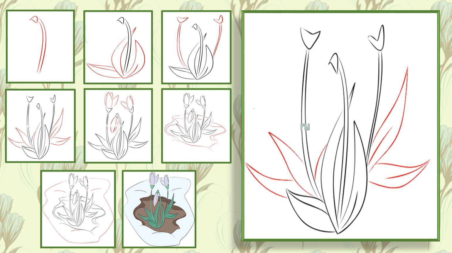 Пошаговое рисование подснежника