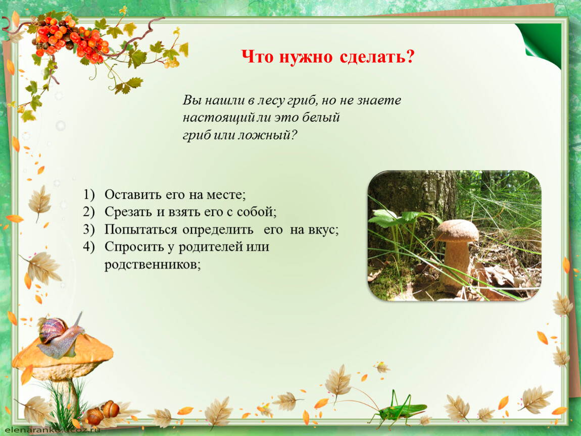 Доклад по окружающему миру 2 класс. Загадки с ответом на Лесные опасности. Вы нашли в лесу гриб но не знаете настоящий он или ложный. Ты нашел в лесу белый гриб, но не знаешь, настоящий.