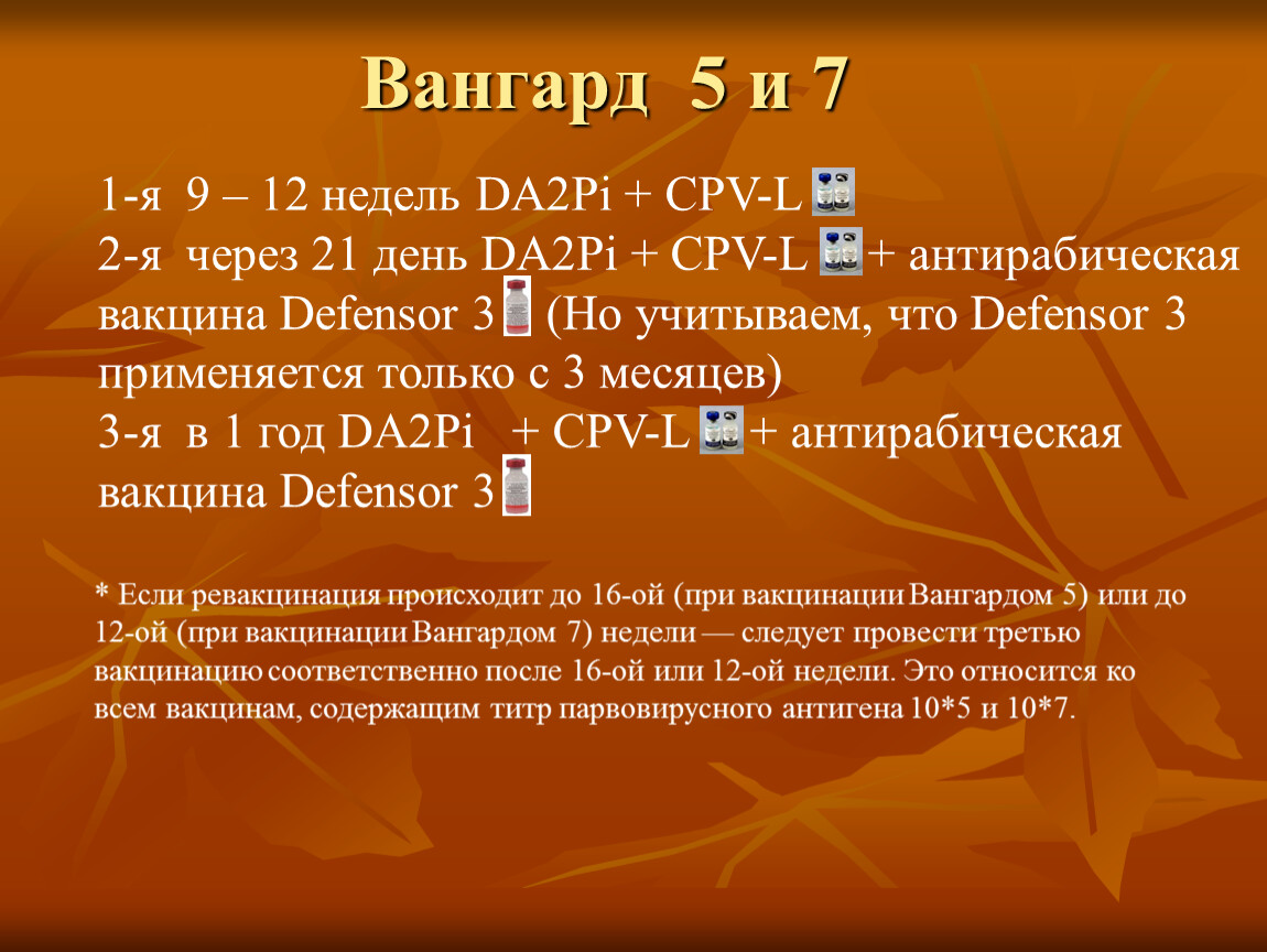 Вакцина вангард схема вакцинации для щенков