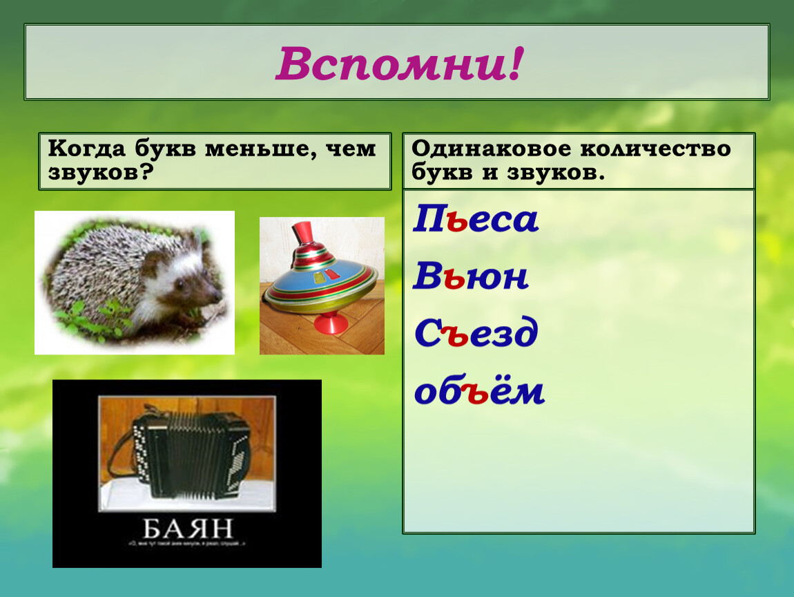 Слово русский сколько букв и звуков